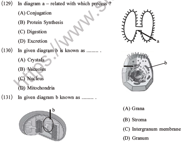 NEET Biology Cell Structure And Function MCQs Set B, Multiple Choice ...